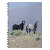 Wilde Mustang-Pferde in der Wüste 3 Notizblock (Vorderseite)