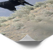 Wilde Mustang Pferde in der Wüste 3 Poster (Ecke)