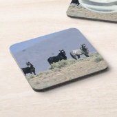 Wilde Mustang-Pferde in der Wüste 3 Untersetzer (Linke Seite)