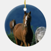Wilde Mustang-Pferde Keramikornament (Hinten)