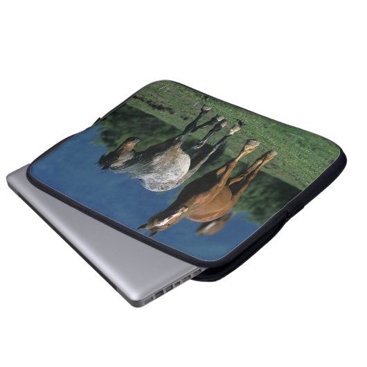 Wilde Mustang-Pferde Laptopschutzhülle (Vorne Knopf)