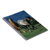 Wilde Mustang-Pferde Notizblock (Rechte Seite)