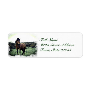Wilde Mustang-Postsendung-Aufkleber