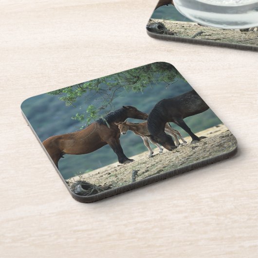 Wilde Mustang-Stute u. Fohlen Getränkeuntersetzer (Linke Seite)