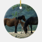 Wilde Mustang-Stute u. Fohlen Keramikornament (Hinten)