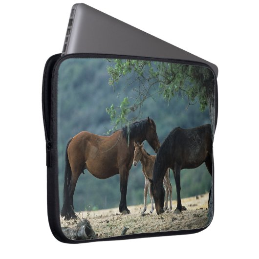 Wilde Mustang-Stute u. Fohlen Laptopschutzhülle (Vorne Rechts)