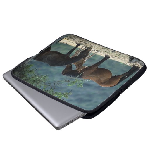 Wilde Mustang-Stute u. Fohlen Laptopschutzhülle (Vorne Knopf)