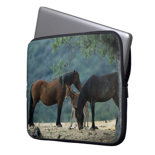 Wilde Mustang-Stute u. Fohlen Laptopschutzhülle (Vorderseite Links)