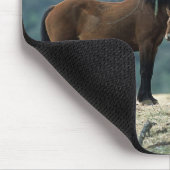 Wilde Mustang-Stute u. Fohlen Mousepad (Ecke)
