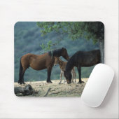 Wilde Mustang-Stute u. Fohlen Mousepad (Mit Mouse)