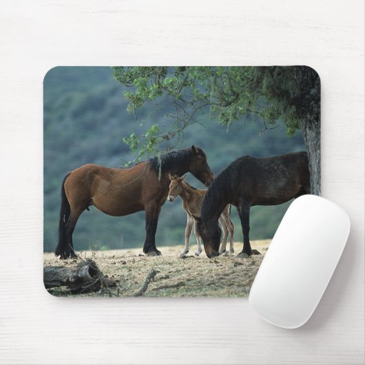 Wilde Mustang-Stute u. Fohlen Mousepad (Mit Mouse)