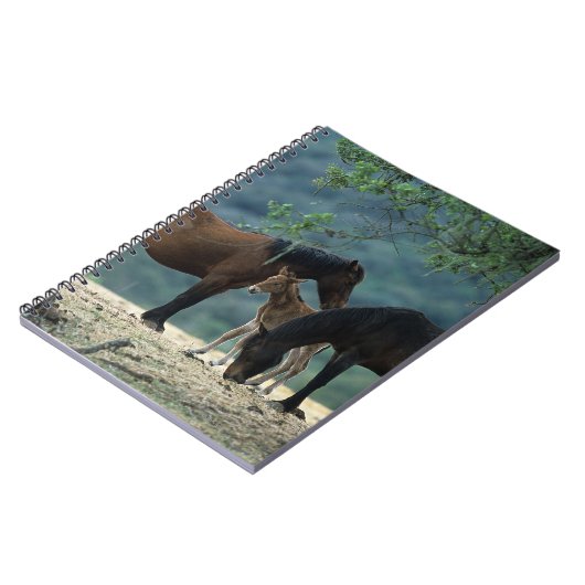 Wilde Mustang-Stute u. Fohlen Notizblock (Linke Seite)