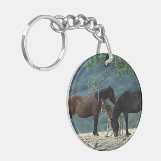 Wilde Mustang-Stute u. Fohlen Schlüsselanhänger (Vorderseite links)
