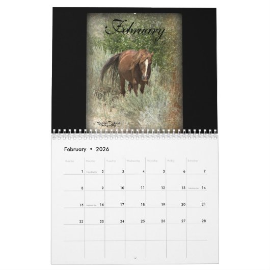 Wilde Mustangs 2017 Kalender (Feb 2026)