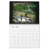 Wilde Mustangs 2017 Kalender (Mär 2027)
