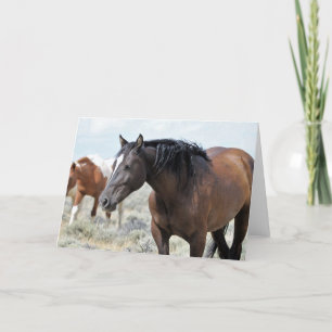 Wilde Mustangs aus dem Westen Karte