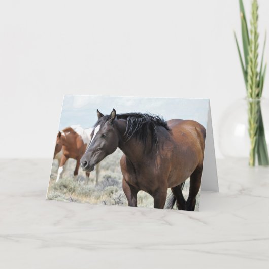 Wilde Mustangs aus dem Westen Karte (Vorderseite)