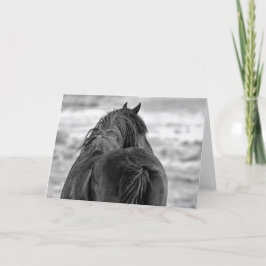 Wilde Mustangs aus dem Westen Karte