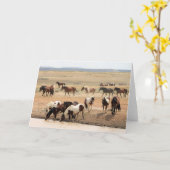 Wilde Mustangs aus dem Westen Karte (Gelbe Blume)