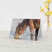 Wilde Mustangs aus dem Westen Karte (Gelbe Blume)