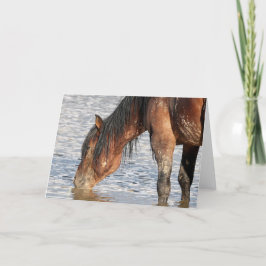 Wilde Mustangs aus dem Westen Karte