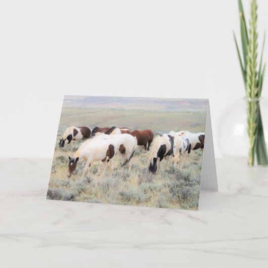 Wilde Mustangs aus dem Westen Karte (Vorderseite)