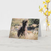 Wilde Mustangs aus dem Westen Karte (Gelbe Blume)