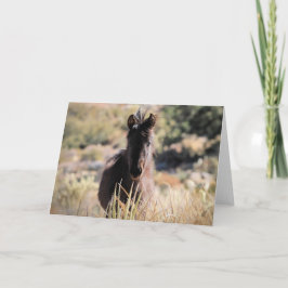 Wilde Mustangs aus dem Westen Karte