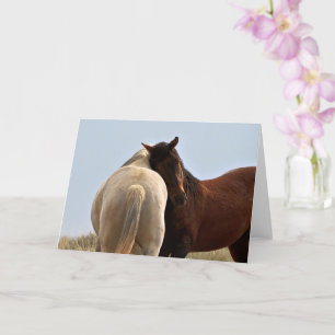 Wilde Mustangs aus dem Westen Karte