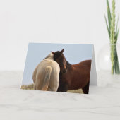 Wilde Mustangs aus dem Westen Karte (Vorderseite)