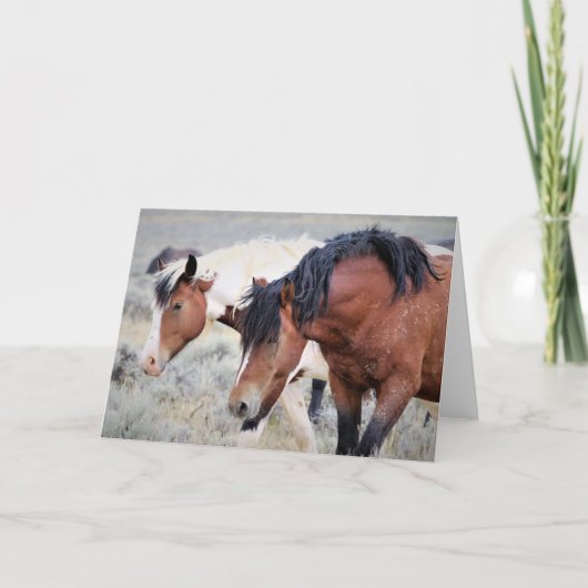 Wilde Mustangs aus dem Westen Karte (Vorderseite)