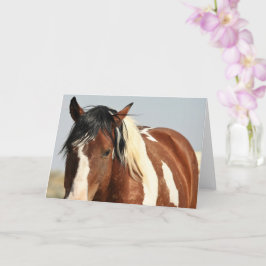 Wilde Mustangs aus dem Westen Karte