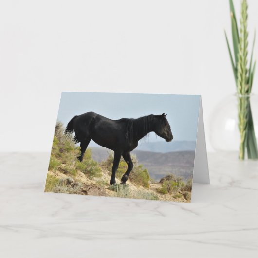 Wilde Mustangs aus dem Westen Karte (Vorderseite)