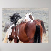 Wilde Mustangs aus dem Westen Poster (Vorne)