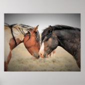 Wilde Mustangs aus dem Westen Poster (Vorne)
