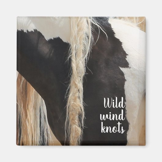 Wilde Mustangs aus den West Wind Knots Magnet (Vorne)