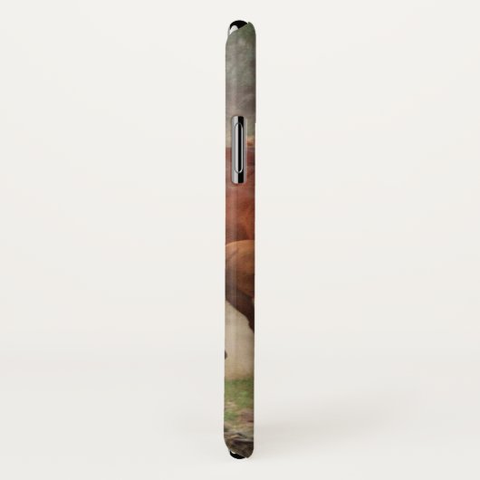 Wilde Mustangs Case-Mate iPhone Hülle (Hinten/Rechts)