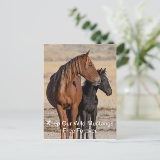 Wilde Mustangs für immer Postkarte (Stehend Vorderseite)