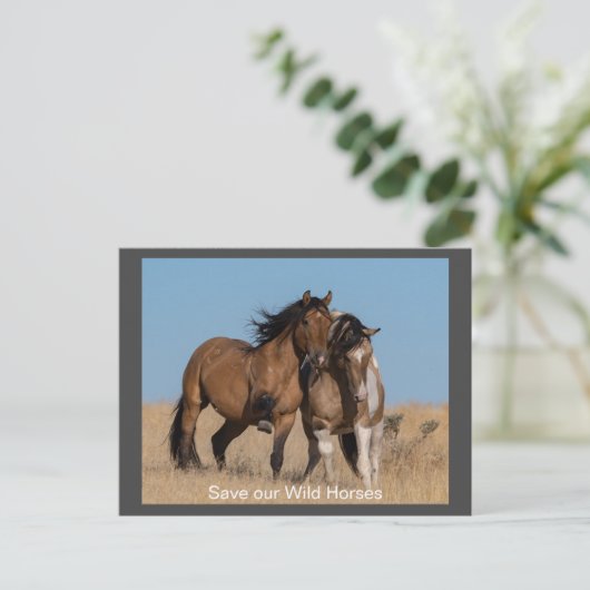 Wilde Mustangs für immer Postkarte (Stehend Vorderseite)