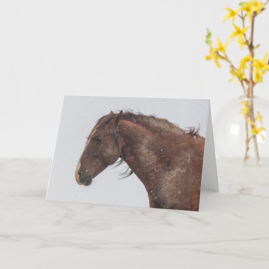 Wilde Mustangs in der Schneekarte Karte (Gelbe Blume)