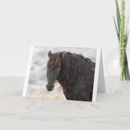 Wilde Mustangs in der Schneekarte Karte