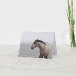 Wilde Mustangs in der Schneekarte Karte