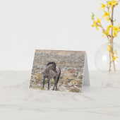 Wilde Mustangs in der Schneekarte Karte (Gelbe Blume)