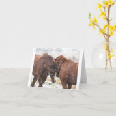 Wilde Mustangs in der Schneekarte Karte (Gelbe Blume)