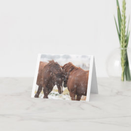 Wilde Mustangs in der Schneekarte Karte