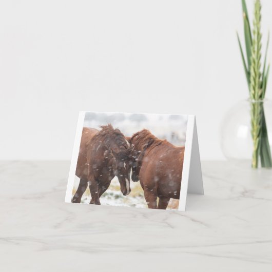 Wilde Mustangs in der Schneekarte Karte (Vorderseite)