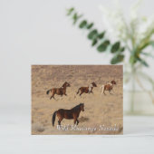 Wilde Mustangs in der Wüste Nevada Postkarte (Stehend Vorderseite)