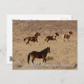 Wilde Mustangs in der Wüste Nevada Postkarte (Vorne/Hinten)