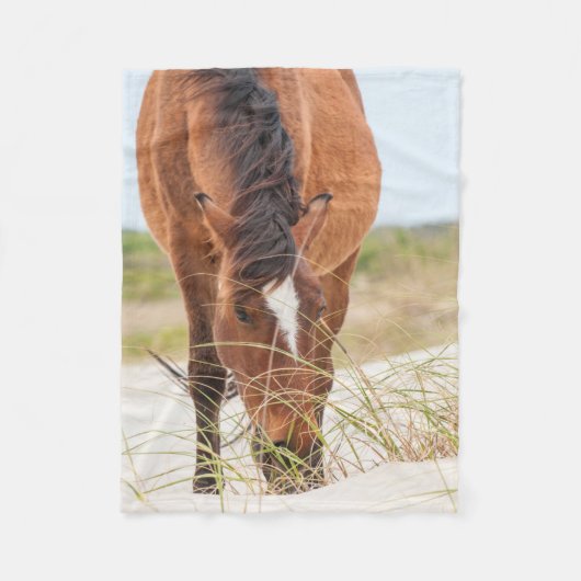 Wilde Mustangs oder Banker-Pferde Fleecedecke (Vorderseite)
