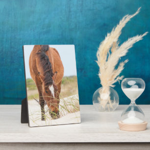 Wilde Mustangs oder Banker-Pferde Fotoplatte